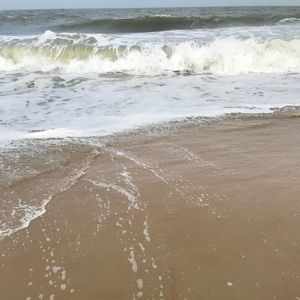 Meet your Posher, Gabrielle